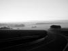 froggy road